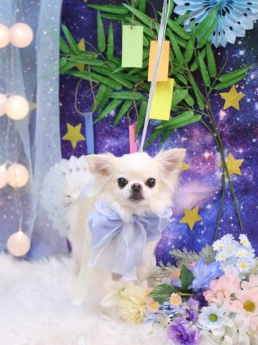 20250710りゅうくん